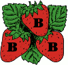 Triple B Farms Strawberry