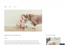 Blogger
