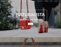 Blogger