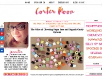 Blogger