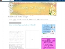 Blogger