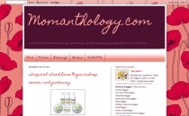 Blogger