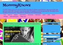 Blogger