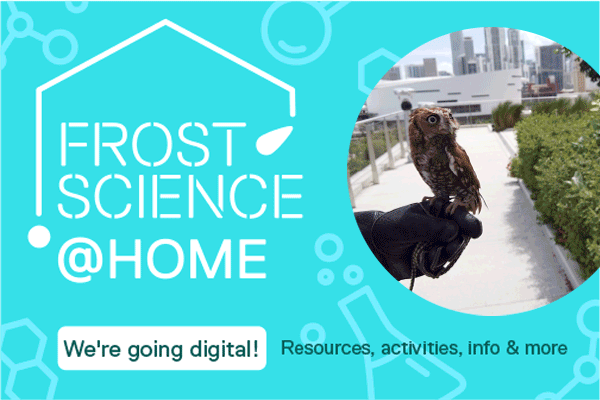 https://www.usfamilyguide.com/_emailattachments/FrostScienceatHome-header.gif