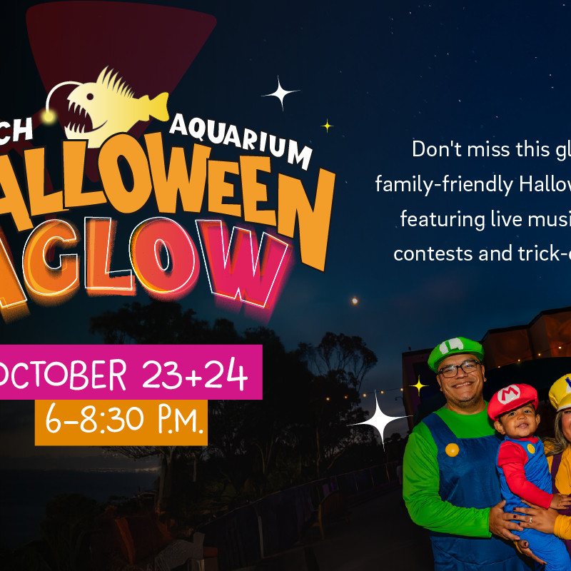 Halloween Aglow