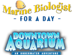 Downtown Aquarium