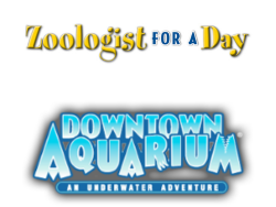 Downtown Aquarium