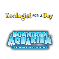 Zoologist for a Day for 9th-12th grade