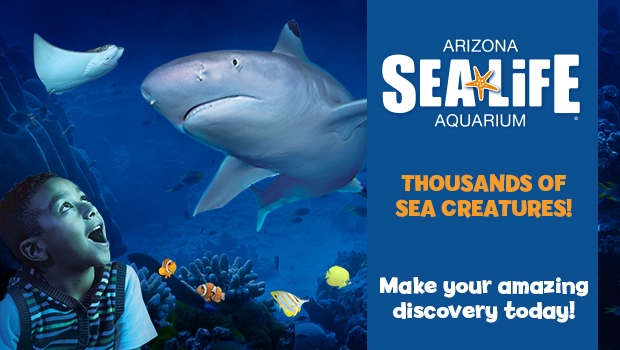 SEA LIFE Arizona Aquarium Birthday Parties