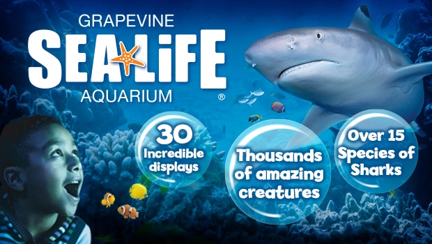 SEA LIFE Grapevine Aquarium Local Vacations