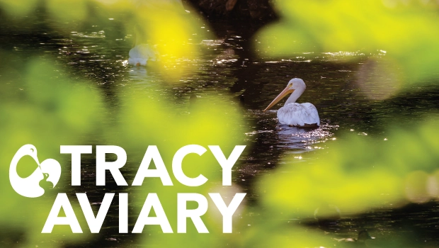 Tracy Aviary Fun Activities