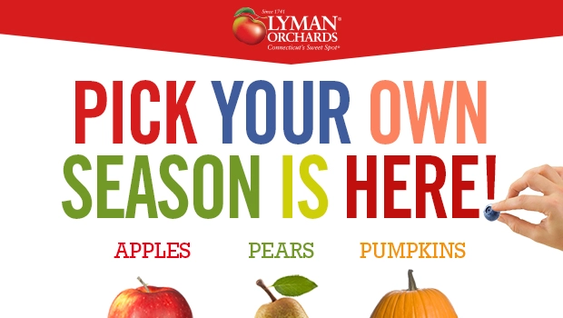 Lyman Orchards Halloween Guide