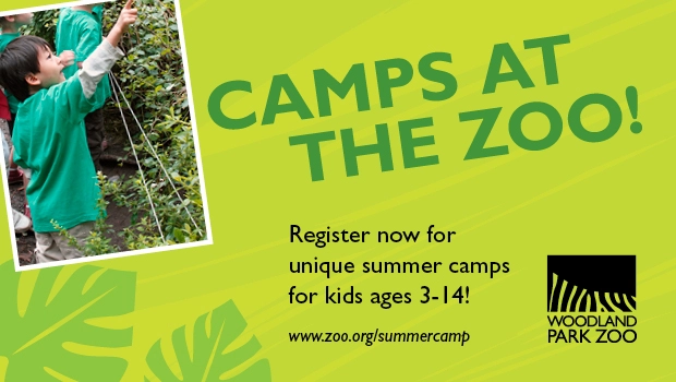 Woodland Park Zoo Summer Camps