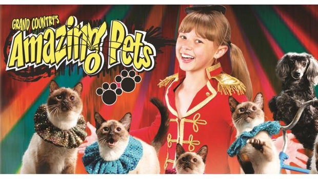 Amazing Pets Show at Grand Country Music Hall Fun Activities
