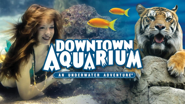 Downtown Aquarium Fun Activities