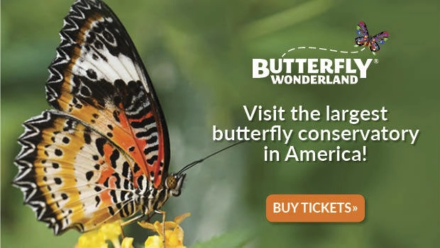 Butterfly Wonderland Child Care