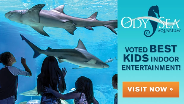 OdySea Aquarium Birthday Parties