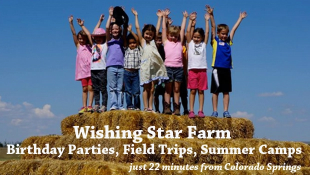 Wishing Star Farm Birthday Parties