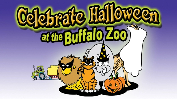 Buffalo Zoo Local Vacations