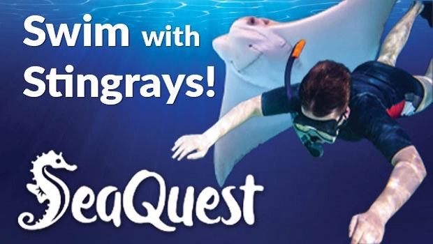 SeaQuest Interactive Aquarium Fort Worth Local Vacations