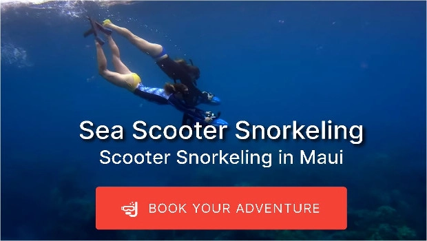 Sea Scooter Snorkeling Family Dining