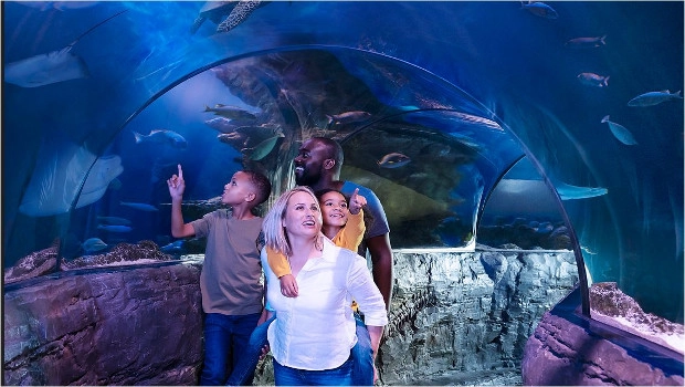 SEA LIFE Arizona Aquarium Shopping