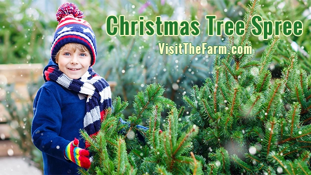 Charmingfare Farm - Christmas Tree Spree Halloween Guide
