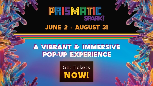 SPARK! Field Trips