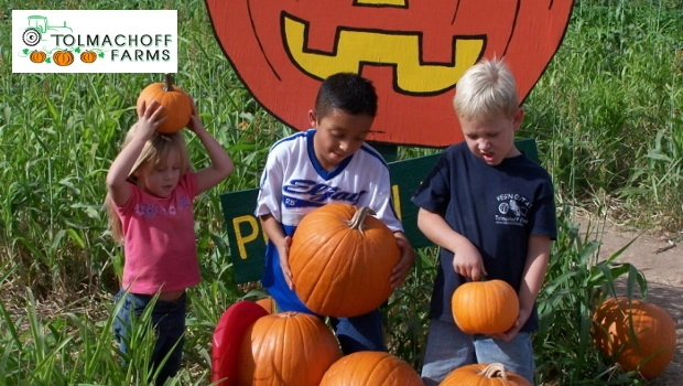 Tolmachoff Farms Halloween Guide