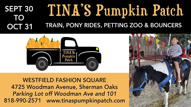 Tina's Pumpkin Patch Birthday Parties