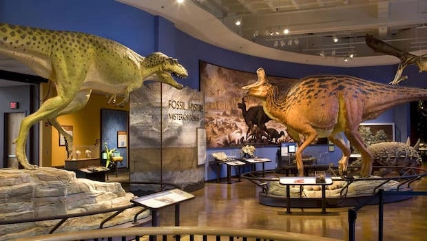 San Diego Natural History Museum Field Trips