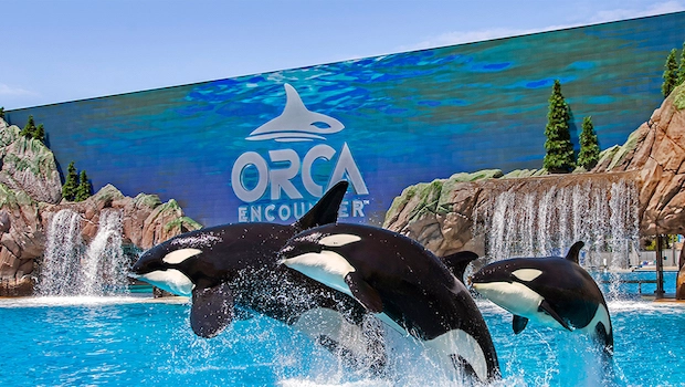 SeaWorld San Diego Field Trips