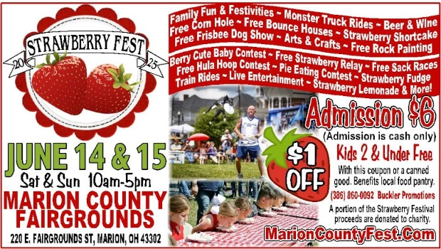 Strawberry Fest Child Care
