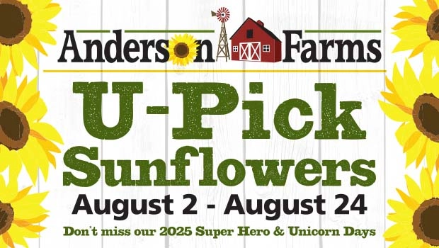 Anderson Farms Fun Activities