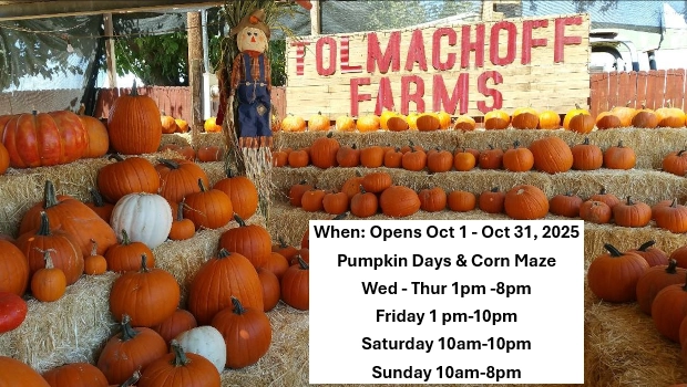 Tolmachoff Farms Halloween Guide