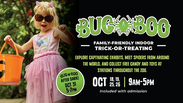 Butterfly Pavilion Halloween Guide