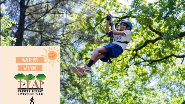 Trinity Forest Adventure Park