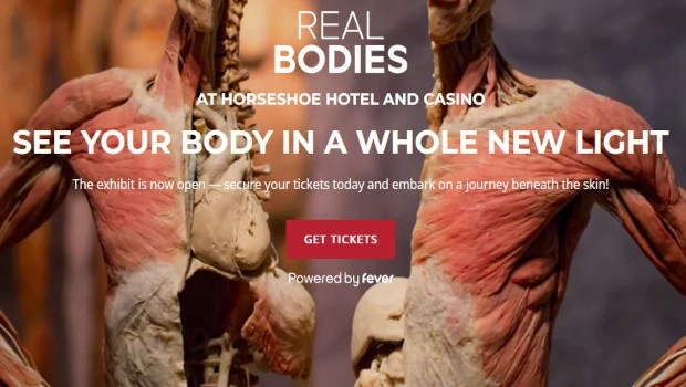 REAL BODIES at Horseshoe Las Vegas Field Trips