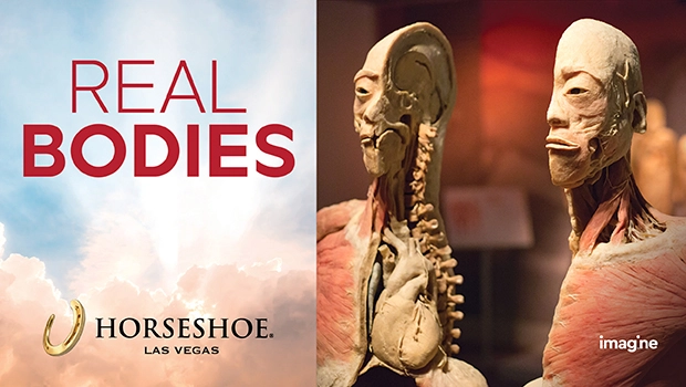 REAL BODIES at Horseshoe Las Vegas Shopping