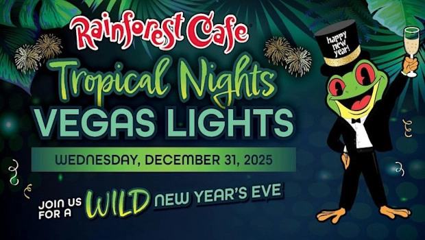 Rainforest Cafe Fun Activities