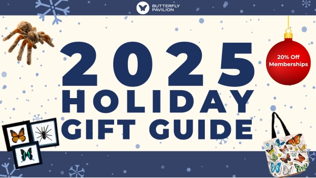 Butterfly Pavilion Holiday Guide