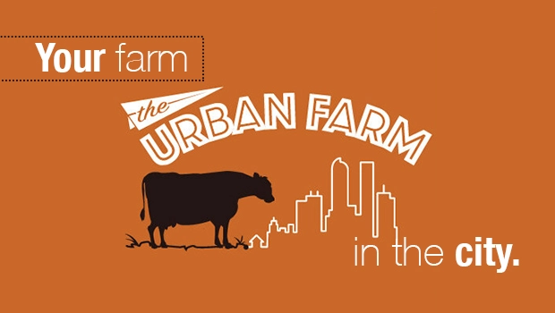 The Urban Farm Holiday Guide