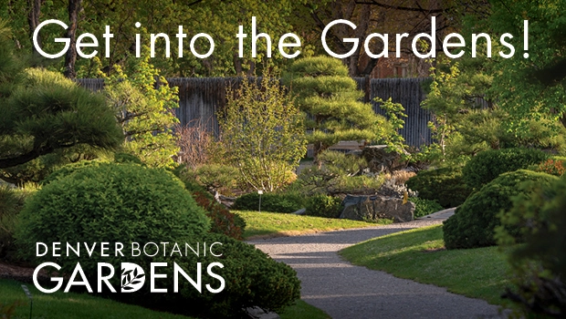 Denver Botanic Gardens Birthday Parties