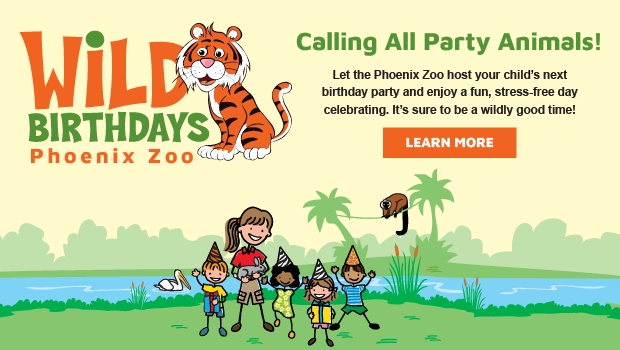 Phoenix Zoo Local Vacations