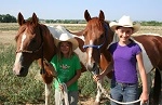 Chatfield Stables