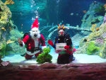 SEA LIFE Grapevine Aquarium