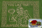 Wayside Farm Fun