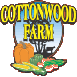 Fall Market and Pumpkin Patch