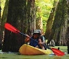 New Orleans Kayak Swamp Tours