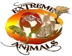 Extreme Animals